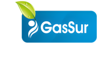 Logo Gassur Página Web-1
